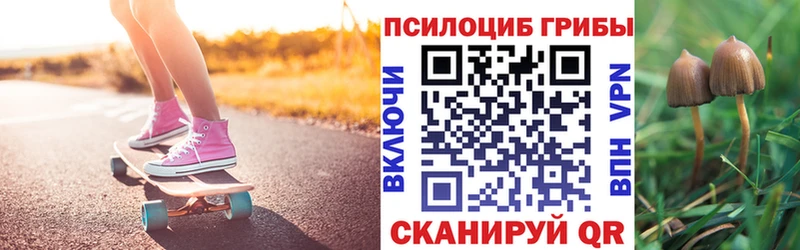 Галлюциногенные грибы прущие грибы  Сертолово 