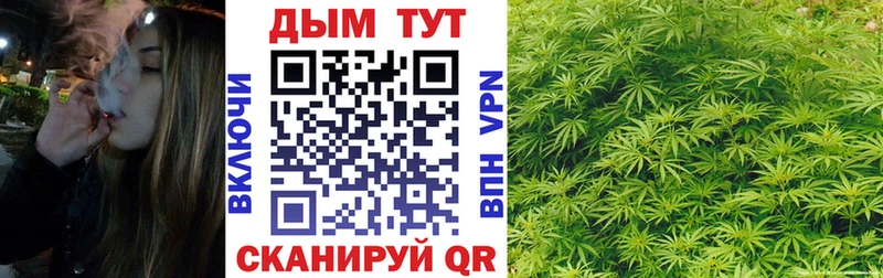 площадка клад  Сертолово  Конопля гибрид 